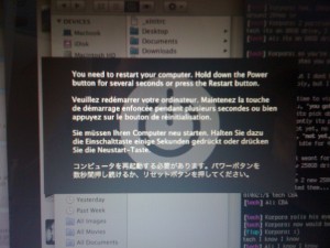 ext2 Mac crash Weird crash screen when ext2 drive connected